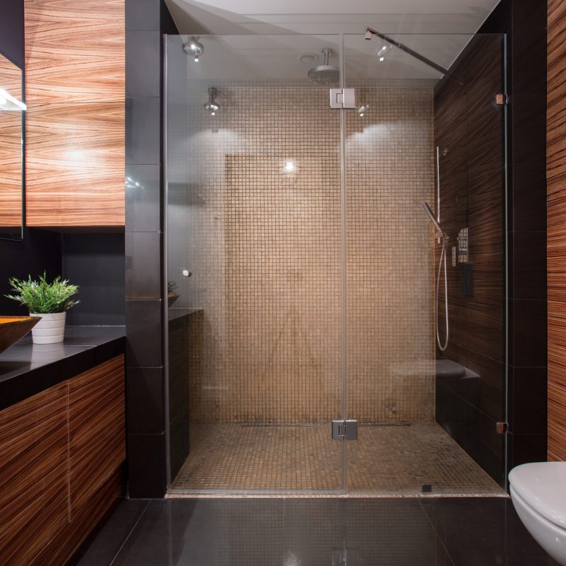 Stylish Modern Bathroom Remodel and Design Idea with Big Tile Shower